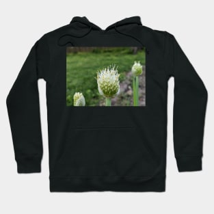 Green Onion Blossom 4 Hoodie